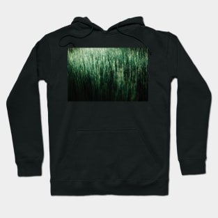 Moody meadow bathed in sunlight – Macro Photography Hoodie